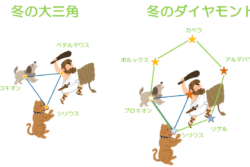 冬の星座