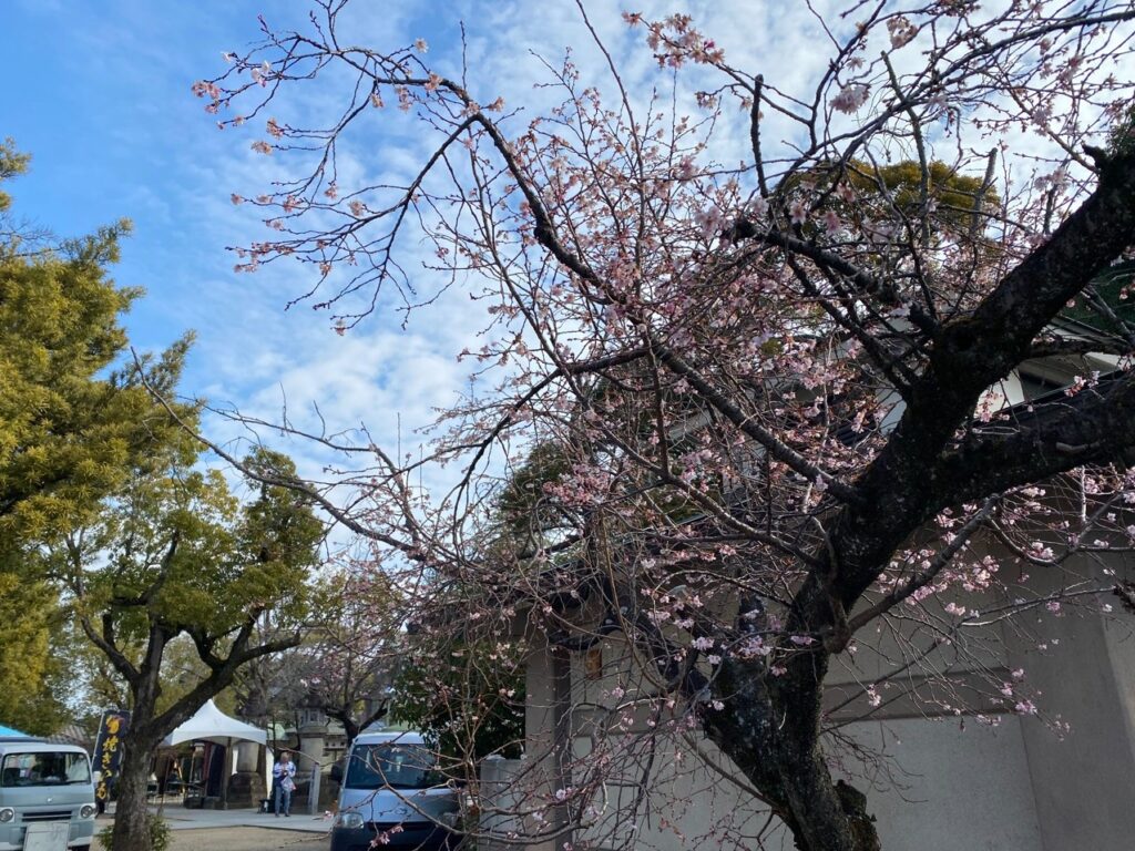 知立遍照院「寺の市」