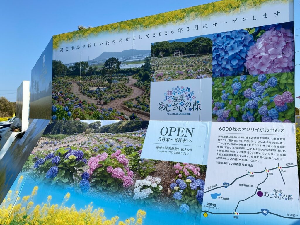 2026年渥美半島「菜の花まつり」
