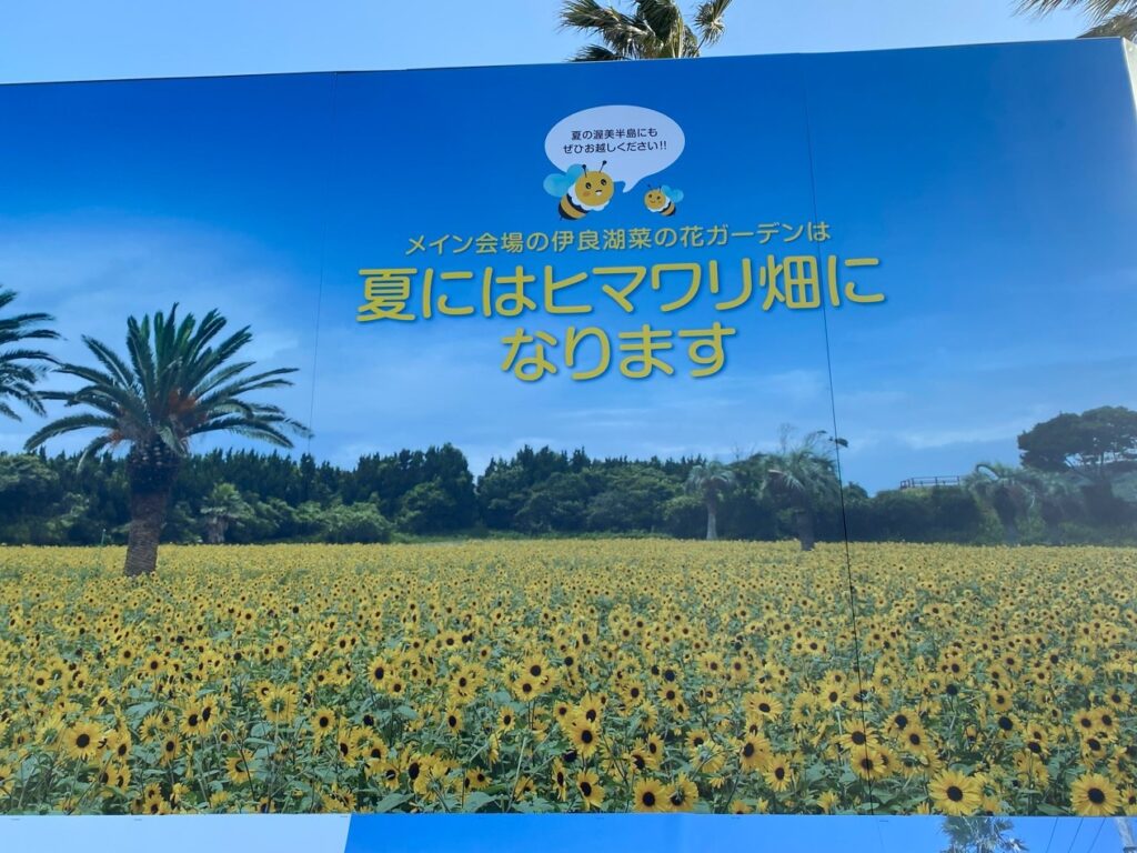 2026年渥美半島「菜の花まつり」